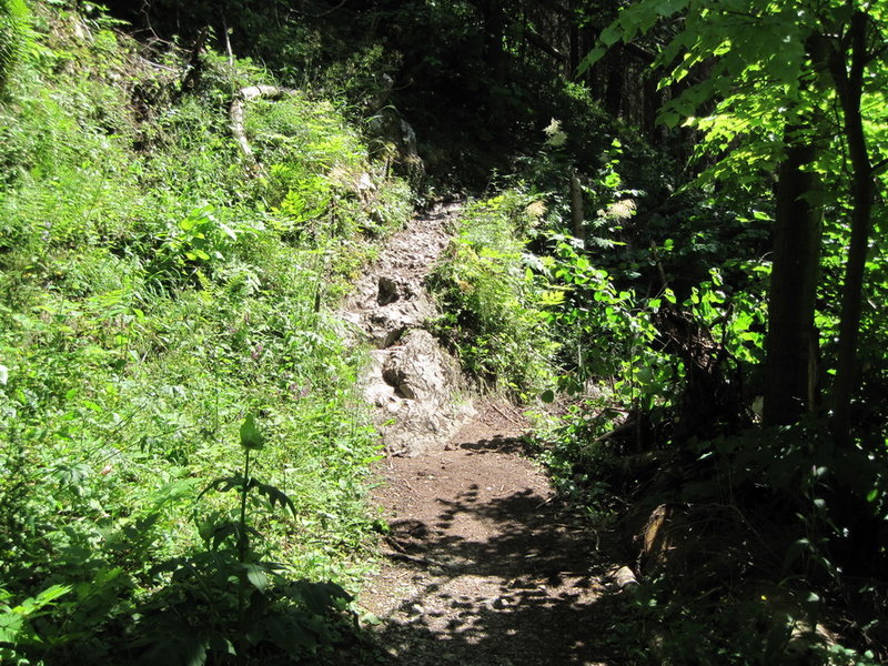 IMG_6175.JPG