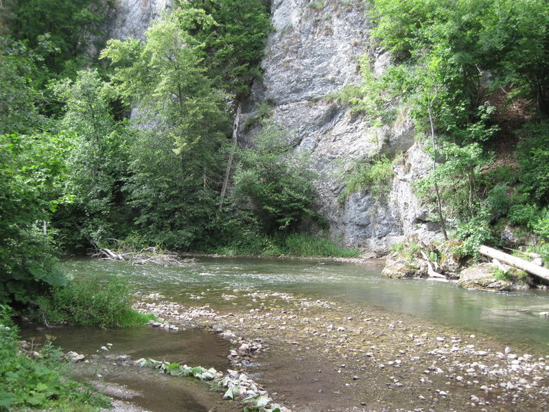 IMG_6182.JPG