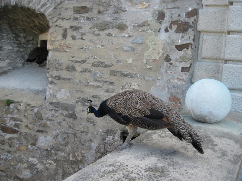 IMG_6340.JPG