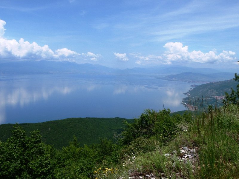 P6093233.JPG