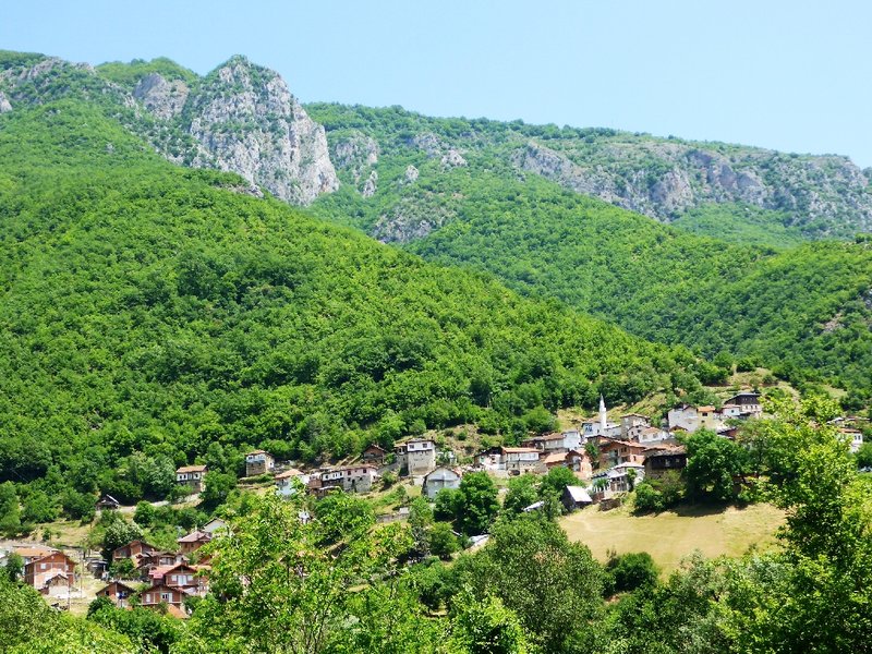 P1030749.JPG