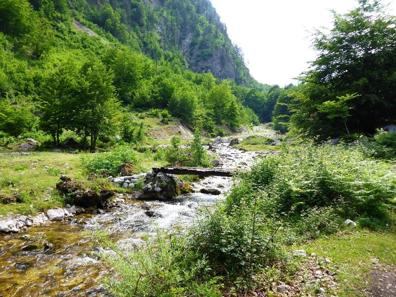 P1030792.JPG