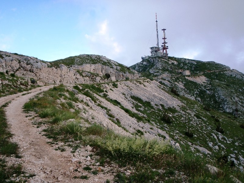 P6173392.JPG
