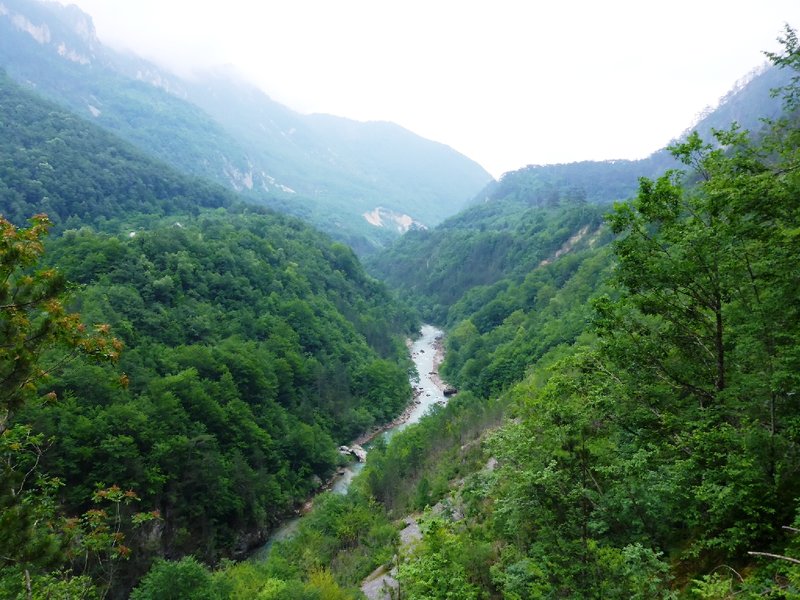 P1040030.JPG