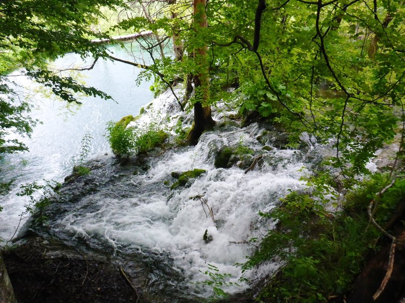 P1040168.JPG