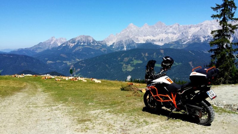 Blick auf den Dachstein