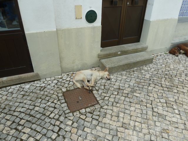 Die Jungs ließen sich durch nichts stören!