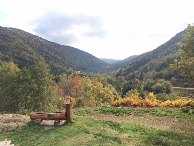 image1.jpg