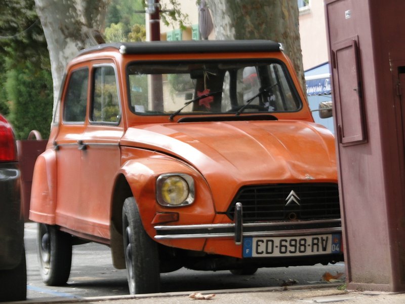 comp_DSC01785.jpg