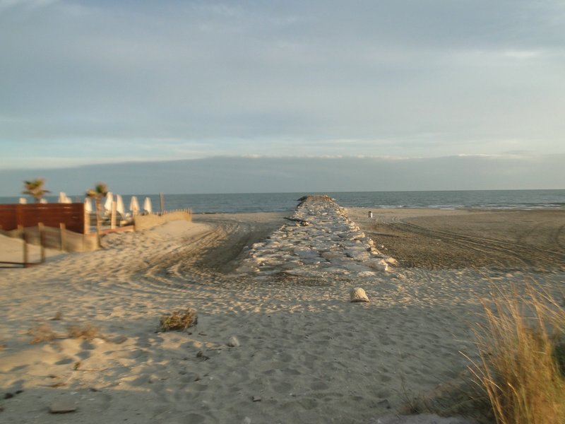 comp_DSC01819.jpg