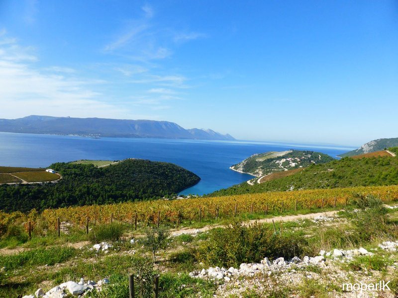 k-Makarska Allerheiligen 2015 084.JPG