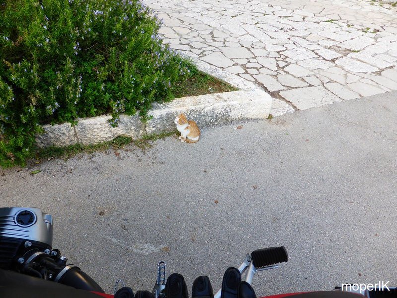 k-Makarska Allerheiligen 2015 135.JPG