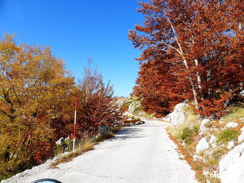 k-Makarska Allerheiligen 2015 171.JPG