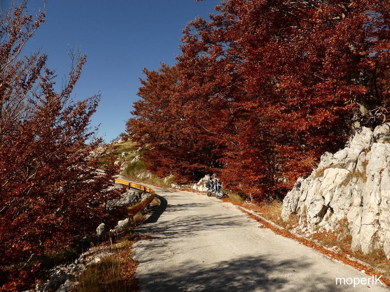 k-Makarska Allerheiligen 2015 180.JPG