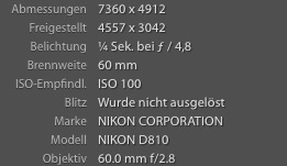 Daten-Bluelead.jpg