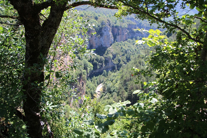 Tour 8/02 Beim Canon de Anisclo