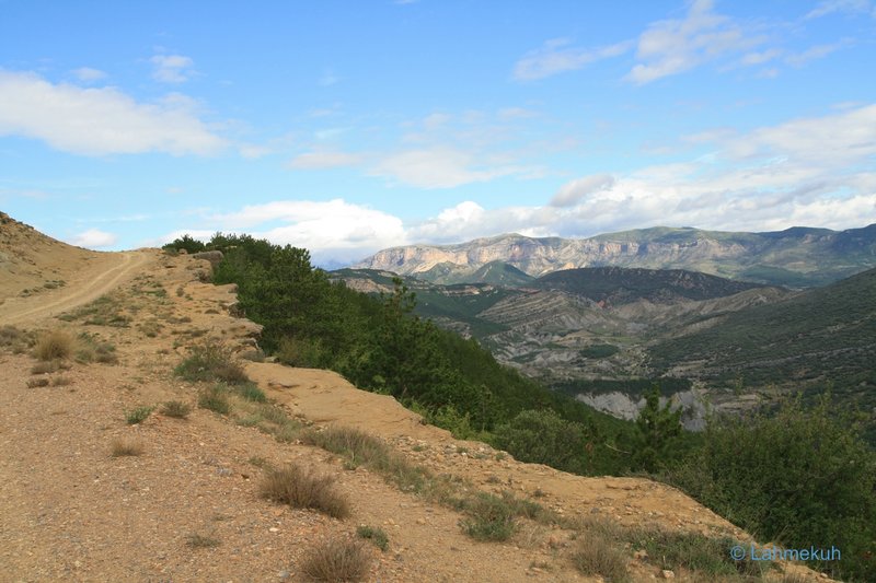 2015-00994kompr.jpg