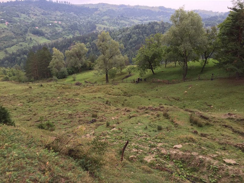2015-09-12 1130 Axel im Hang.JPG