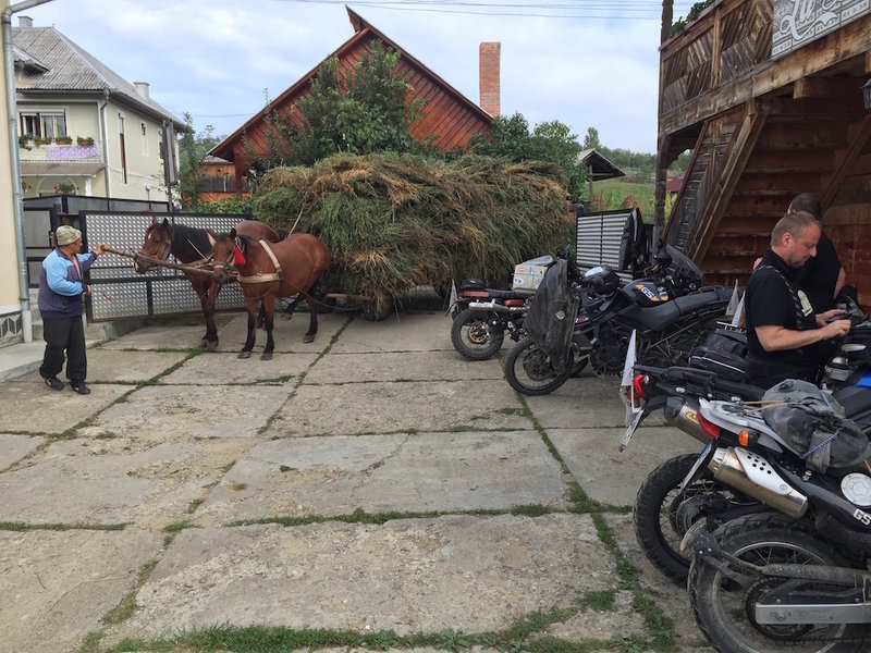 2015-09-15 1000 Horse and Hay.JPG