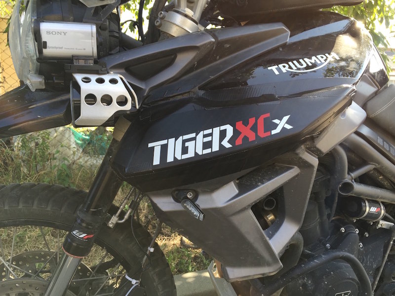 2015-09-15 1500 Damaged Tiger 2.JPG