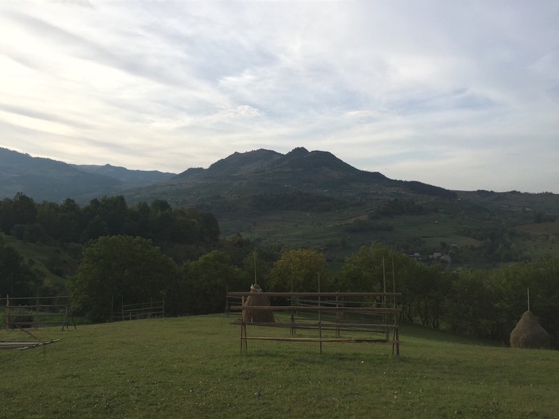 2015-09-15 1800 Landscape 1.JPG