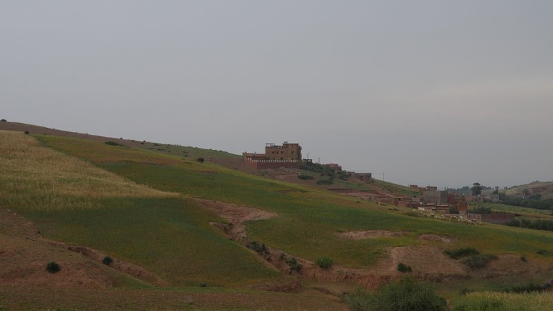 P1180417.JPG
