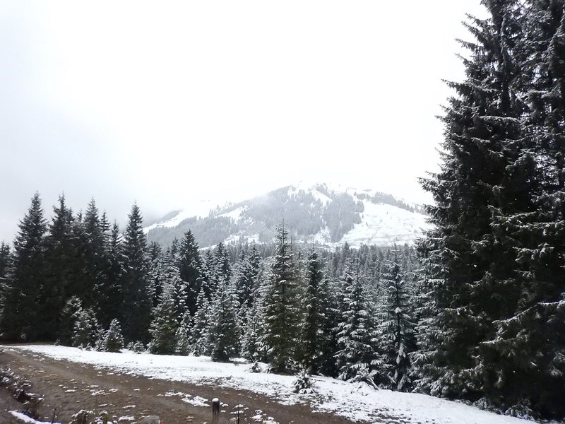 DSCN0328.JPG