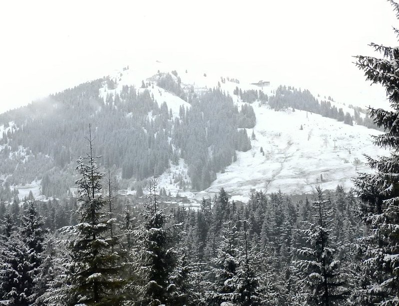 DSCN0329.JPG