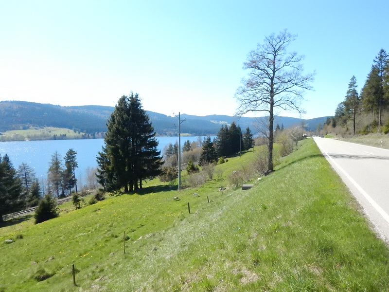 DSCN0372_Bildgröße ändern.JPG