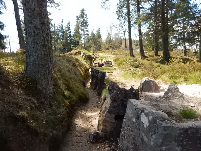 DSCN0460_Bildgröße ändern.JPG