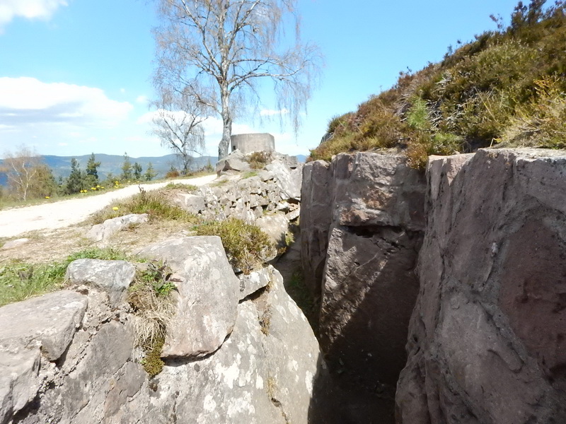 DSCN0464_Bildgröße ändern.JPG