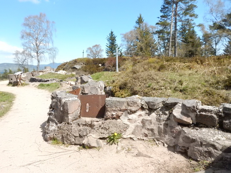 DSCN0469_Bildgröße ändern.JPG