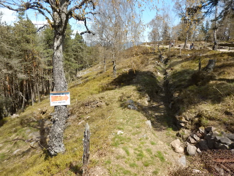 DSCN0473_Bildgröße ändern.JPG
