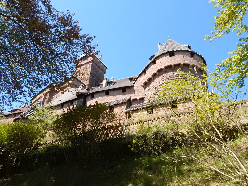 DSCN0487_Bildgröße ändern.JPG