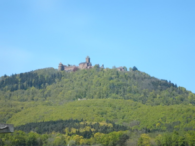 DSCN0493_Bildgröße ändern.JPG