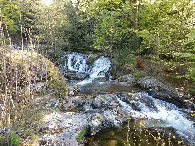 DSCN0495_Bildgröße ändern.JPG