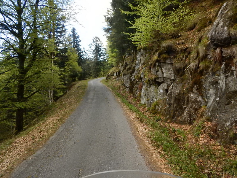 DSCN0530_Bildgröße ändern.JPG