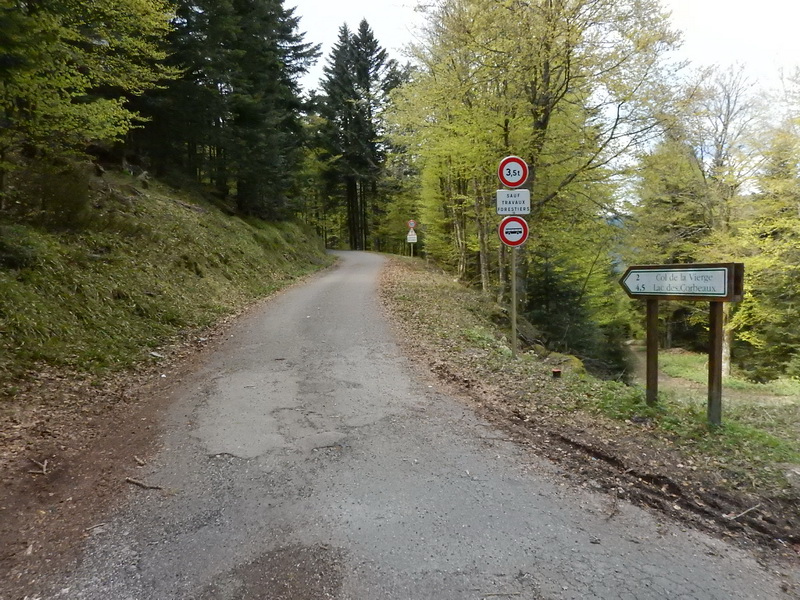 DSCN0532_Bildgröße ändern.JPG