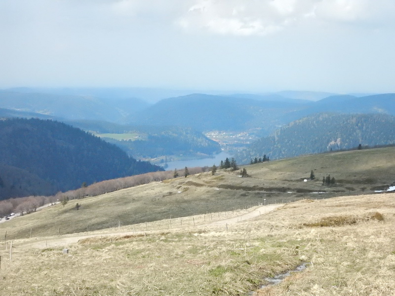 DSCN0553_Bildgröße ändern.JPG