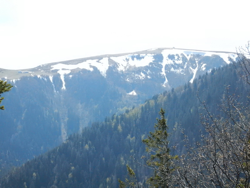 DSCN0567_Bildgröße ändern.JPG