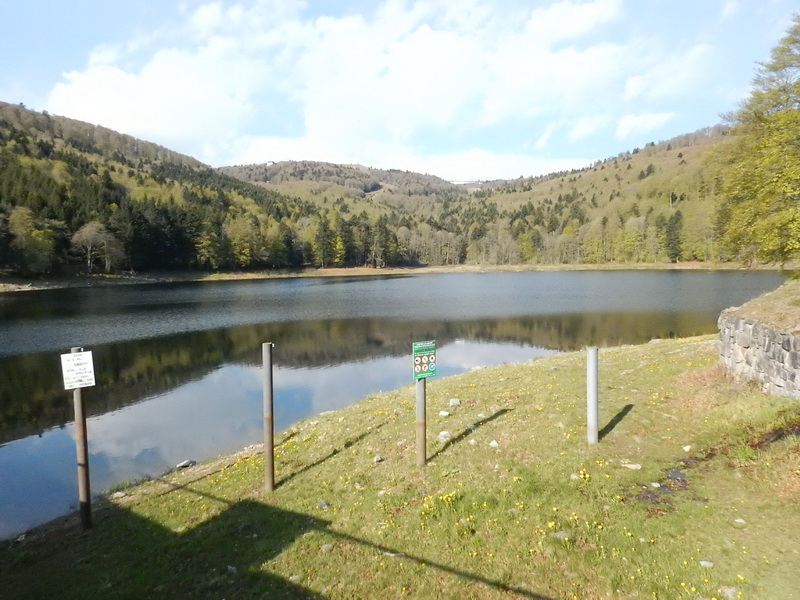 DSCN0574_Bildgröße ändern.JPG