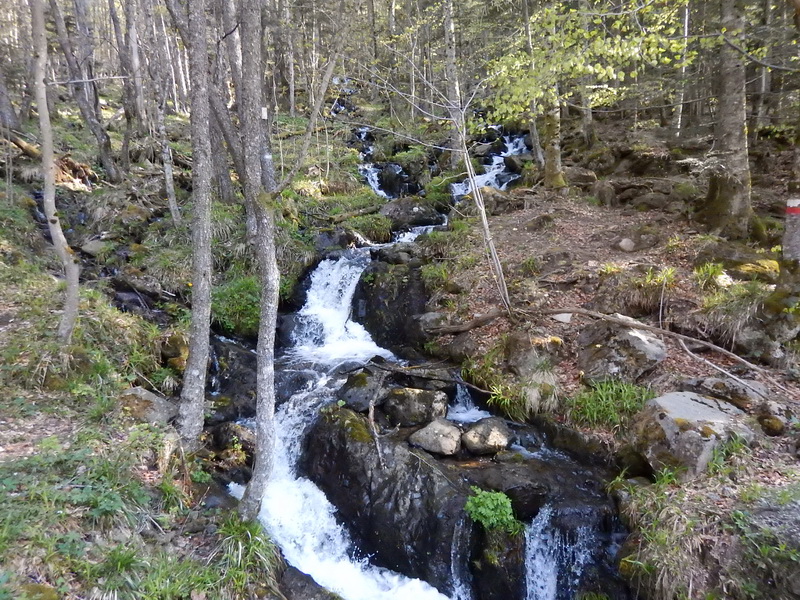 DSCN0578_Bildgröße ändern.JPG