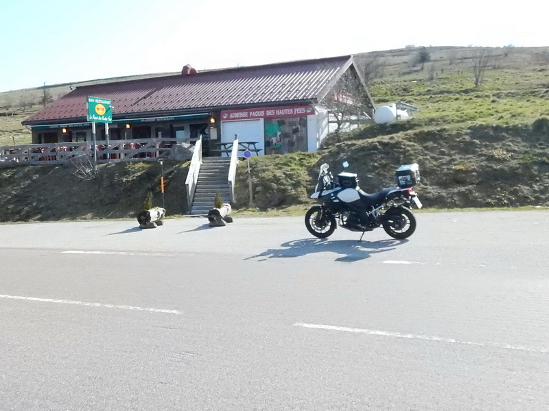 DSCN0585_Bildgröße ändern.JPG