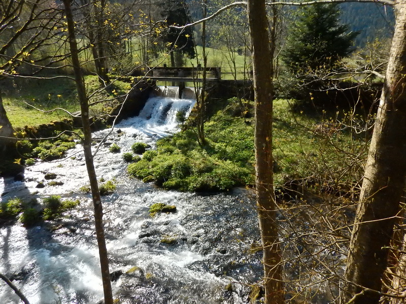 DSCN0592_Bildgröße ändern.JPG