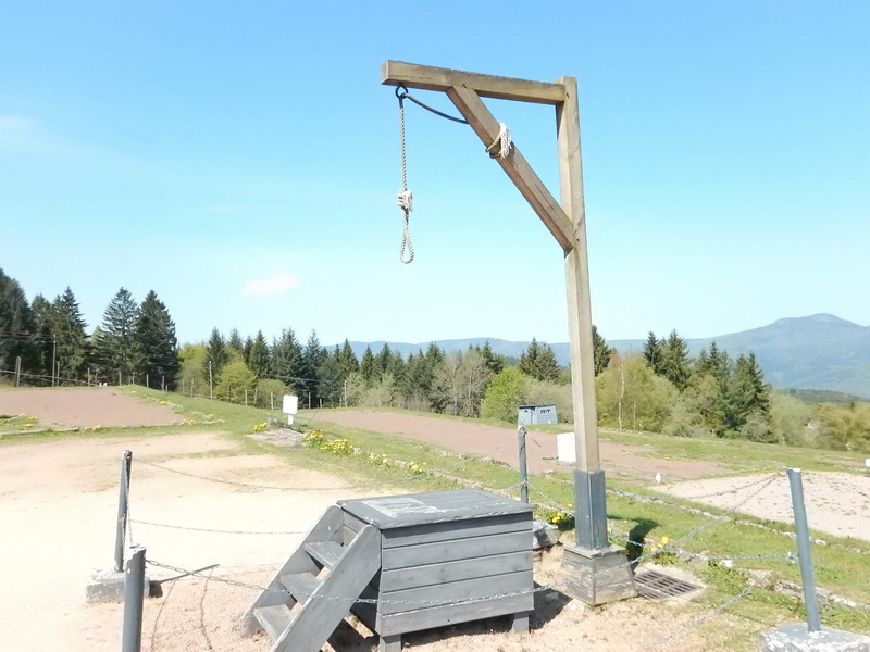 DSCN0622_Bildgröße ändern.JPG