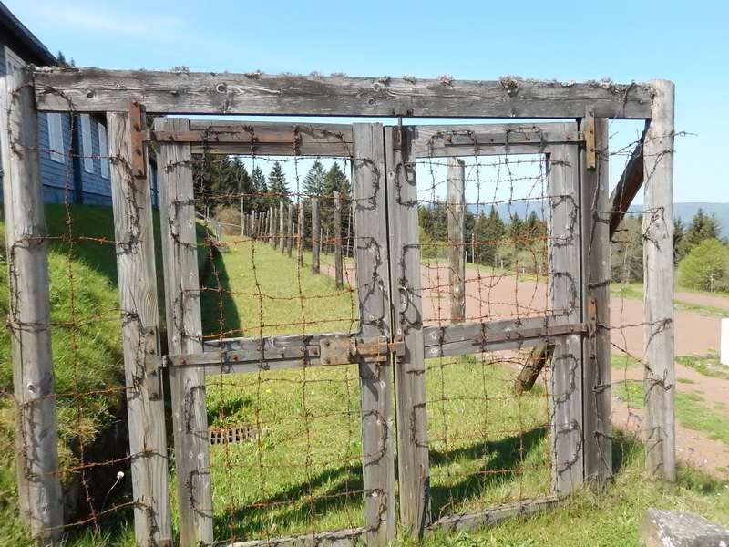 DSCN0624_Bildgröße ändern.JPG