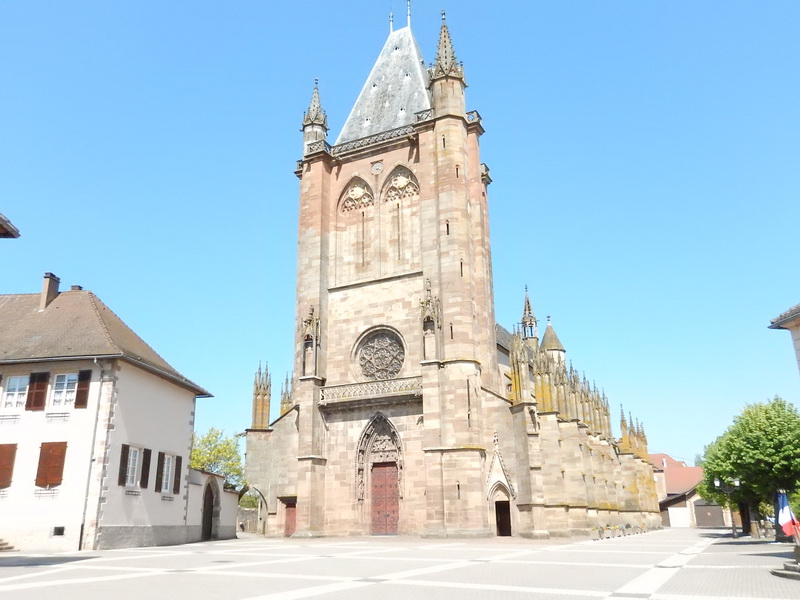 DSCN0683_Bildgröße ändern.JPG