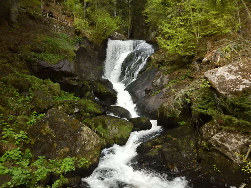 DSCN0799_Bildgröße ändern.JPG