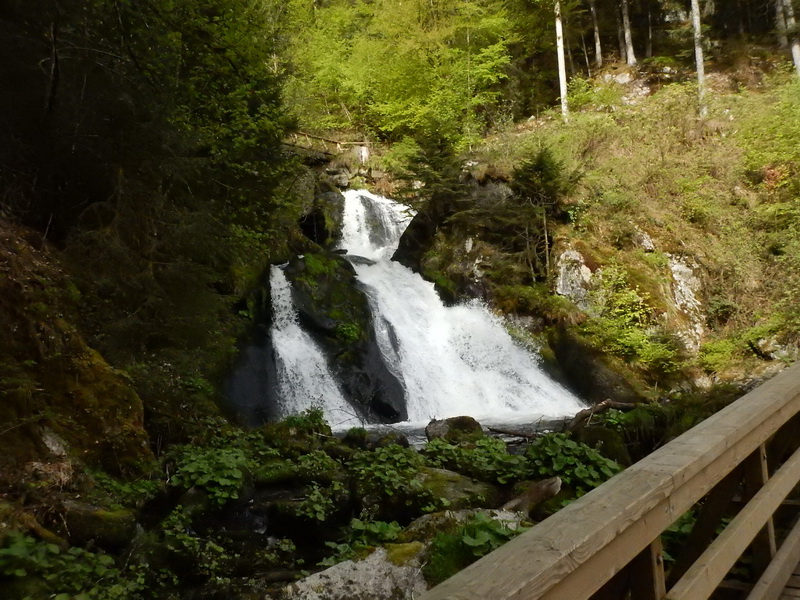 DSCN0806_Bildgröße ändern.JPG