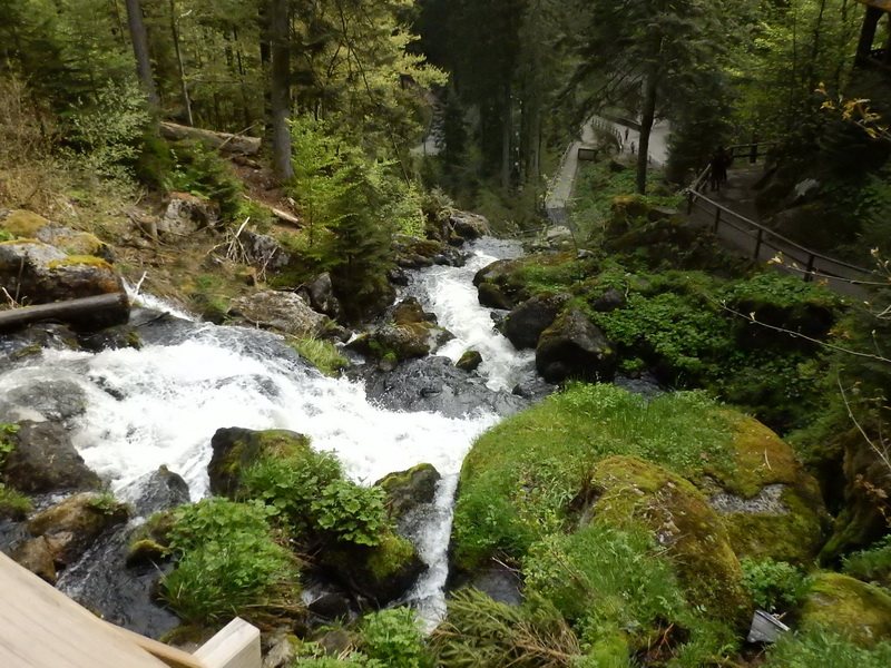 DSCN0809_Bildgröße ändern.JPG